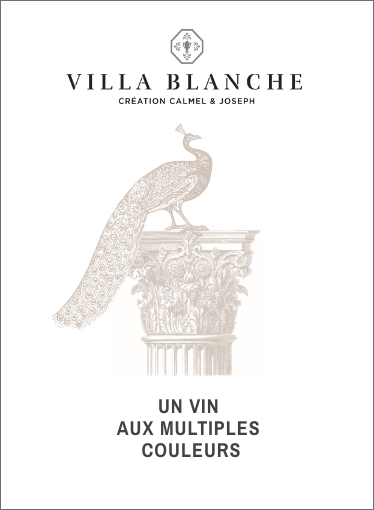 home-villa-blanche